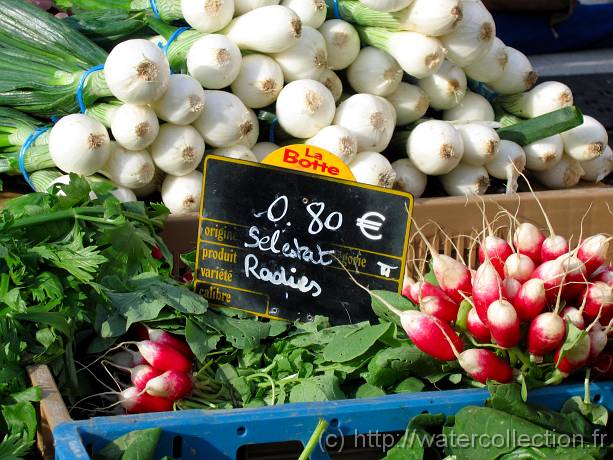 2007-05-12_08-39-57_Mai_112,7mm_1_500_eme_Canon PowerShot A95 